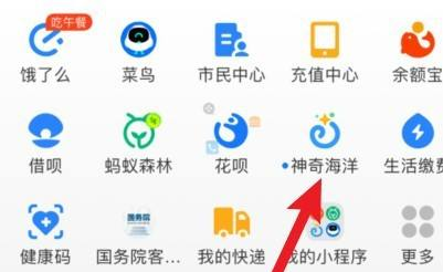 神奇海洋重复拼图的作用-神奇海洋重复拼图有怎么用