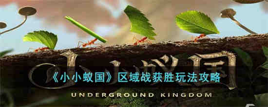 小小蚁国区域战怎么玩 小小蚁国区域战获胜玩法攻略