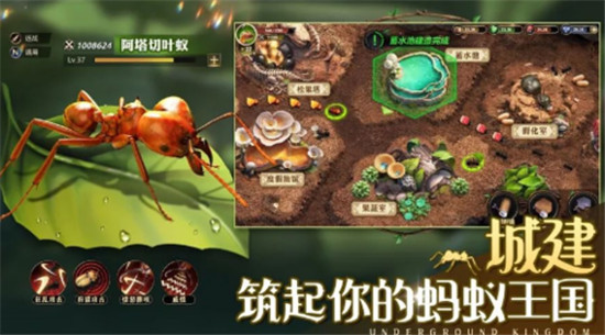 小小蚁国平民玩法技巧教学-小小蚁国平民玩法怎么玩