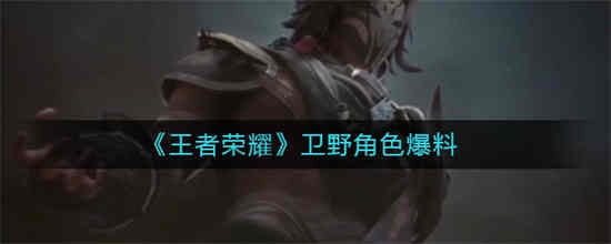王者荣耀卫野是谁 王者荣耀卫野角色介绍