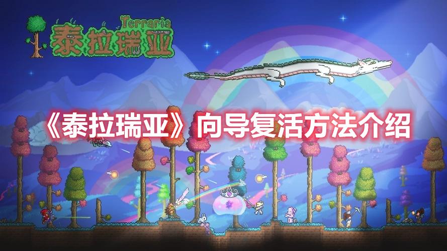 泰拉瑞亚向导怎么复活-泰拉瑞亚向导复活方法介绍