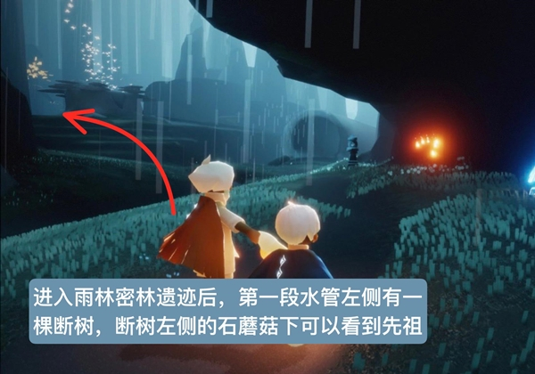 光遇雨林磕头先祖在哪里 地点位置兑换图攻略