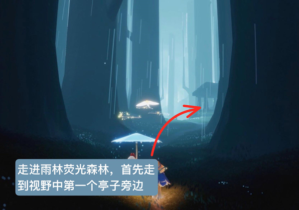 光遇雨林跺脚先祖在哪里 地点位置兑换图攻略