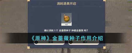 原神金蔷薇种子有什么作用 金蔷薇种子作用介绍