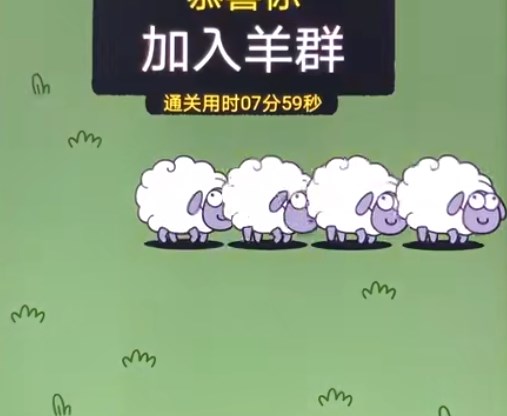 羊了个羊10月19日每日一关通关攻略流程-羊了个羊10.19关卡攻略