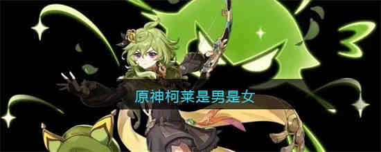 原神柯莱是男是女 原神柯莱性别一览