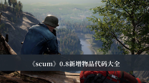 scum0.8新增物品代码-scum0.8新增物品代码大全