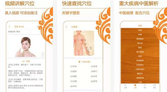 经络养生专业知识下载安卓版：通过经络养生了解身体穴位