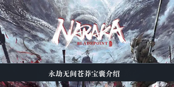 永劫无间苍莽宝囊里面有什么-永劫无间苍莽宝囊介绍