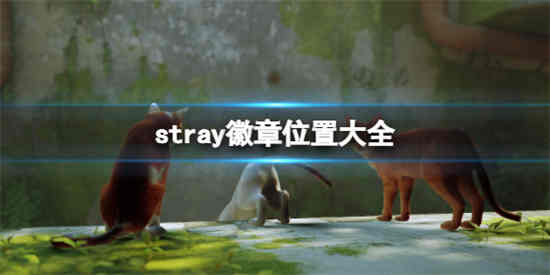 迷失stray徽章位置在哪里 迷失stray徽章位置大全介绍