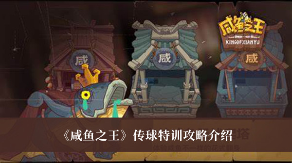 咸鱼之王传球特训攻略-咸鱼之王传球特训攻略介绍