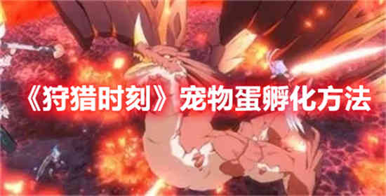 狩猎时刻宠物蛋怎么孵化 狩猎时刻宠物蛋孵化方法