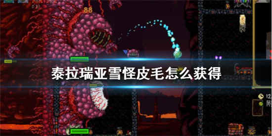 泰拉瑞亚雪怪皮毛怎么获得 雪怪皮毛获取方法介绍
