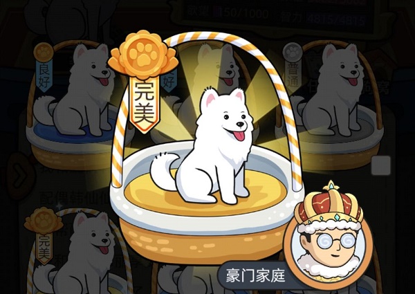 狗生模拟器藏獒边牧解锁攻略-狗生模拟器如何解锁藏獒边牧