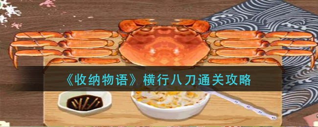 收纳物语横行八刀通关方法攻略