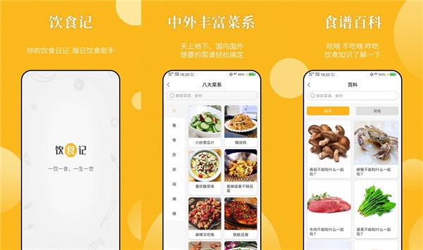 饮食记中外丰富菜系-饮食知识详细了解一下
