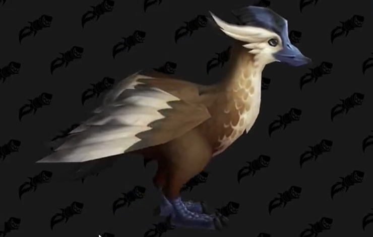 wow魔兽世界10.0铁喙鸭宠物获取方法攻略
