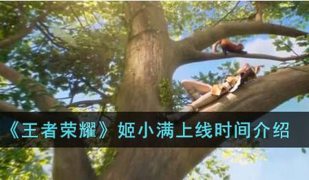 王者荣耀姬小满什么时候上线 王者荣耀姬小满上线时间介绍