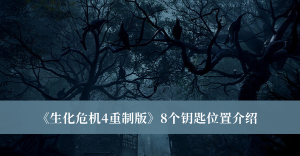 生化危机4重制版8个钥匙位置-生化危机4重制版8个钥匙位置介绍