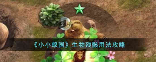 小小蚁国生物残骸怎么使用 生物残骸使用方法介绍