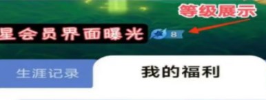 王者荣耀星会员等级如何看-星会员等级在什么地方查看?