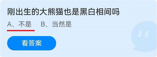 蚂蚁庄园6月16日问题答案-刚出生的大熊猫也是黑白相间吗