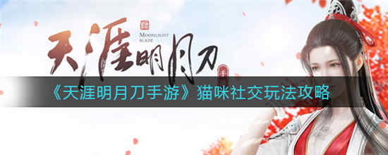天涯明月刀手游猫咪社交怎么玩 猫咪社交玩法攻略介绍