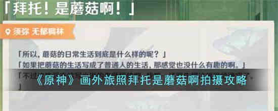 原神画外旅照拜托是蘑菇啊怎么拍 原神画外旅照拜托是蘑菇啊拍摄攻略