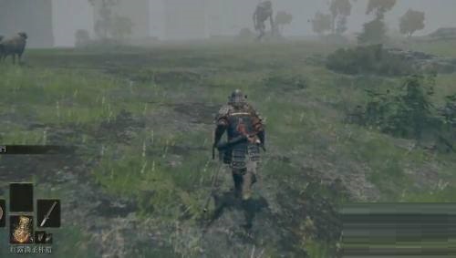 艾尔登法环怎么双持武器 双持武器的教学攻略