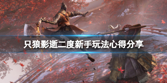 只狼影逝二度新手有什么技巧-只狼影逝二度新手玩法心得分享