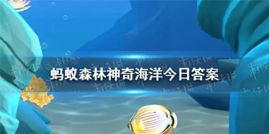 神奇海洋9.5今日答案-神奇海洋哪种鱼能用皮肤辅助呼吸
