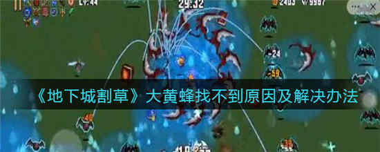 地下城割草大黄蜂找不到怎么办 大黄蜂找不到解决方法