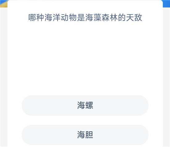 神奇海洋10.27问题答案-哪种海洋动物是海藻森林的天敌