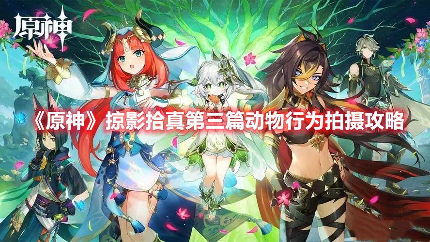 原神掠影拾真动物行为拍摄怎么过-原神掠影拾真第三篇动物行为拍摄攻略