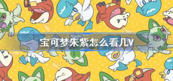 宝可梦朱紫查看v值方法详解-宝可梦朱紫查看v值攻略分享