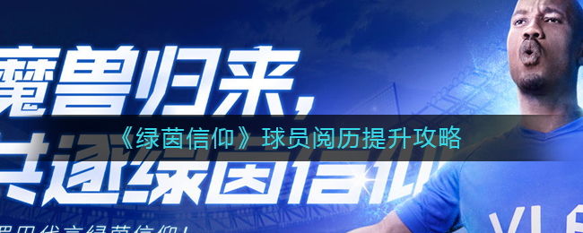 绿茵信仰阅历要如何提升-绿茵信仰阅历提升方法分享