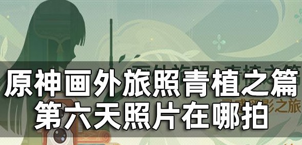 原神风之晷和沙中的见证者在哪拍-画外旅照青植之篇第六天攻略