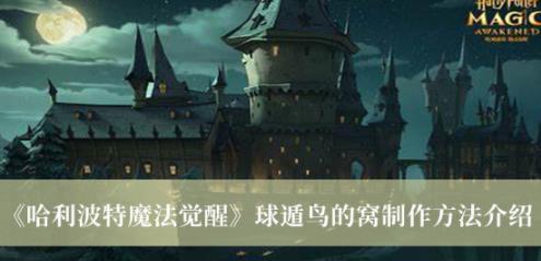 哈利波特魔法觉醒球遁鸟的窝制作方法 球遁鸟的窝怎么制作