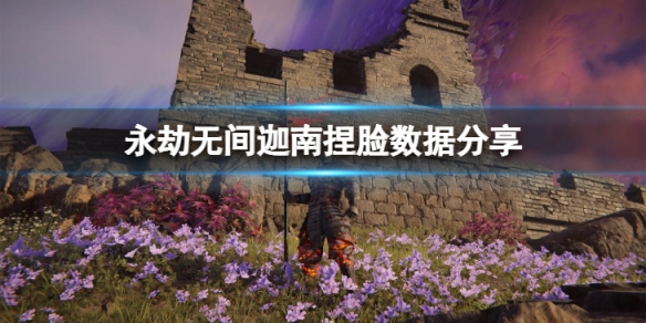 永劫无间迦南捏脸数据十四分享-十四迦南怎么捏