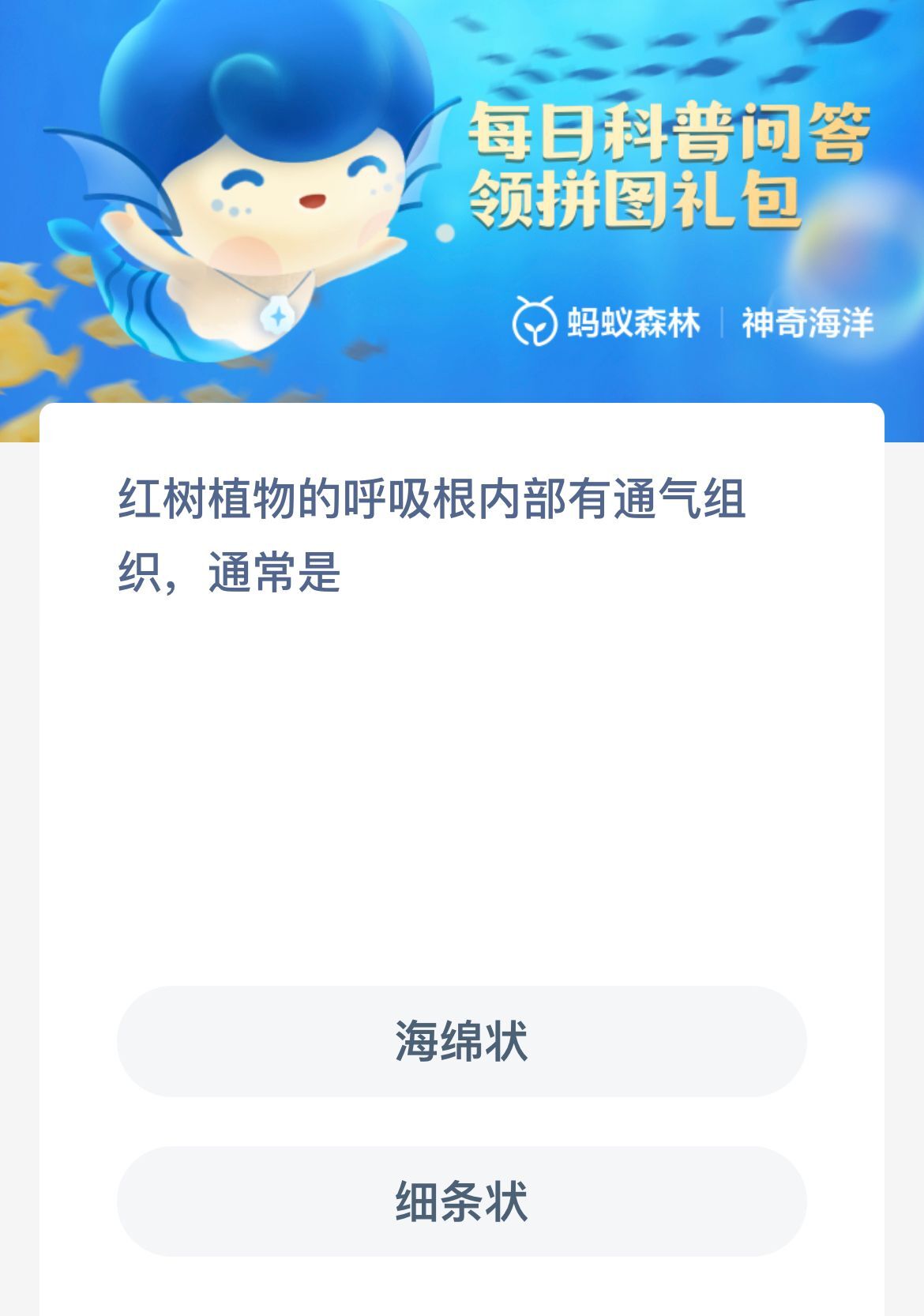 神奇海洋11月15日答案最新-神奇海洋11.15答案红树植物的呼吸根内部有通气组织，通常是