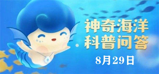 神奇海洋8.29今日答案-神奇海洋一般来说，墨鱼、花枝或墨斗鱼指的都是