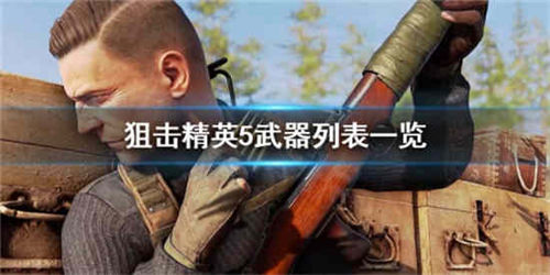 狙击精英5枪械怎么选择-狙击精英5武器图鉴大全一览