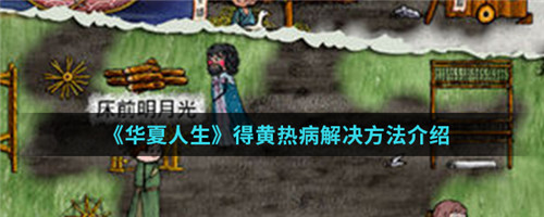 华夏人生得黄热病怎么办-华夏人生得黄热病的解决方法介绍