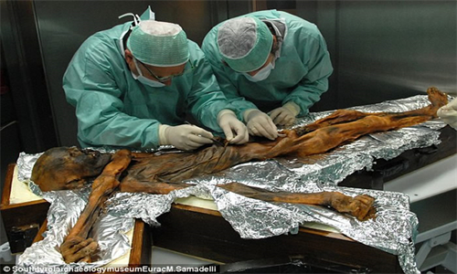 科学家还原5300年前冰人奥茨最后的晚餐：一半都是野生羊肉红鹿肉等高脂食物！