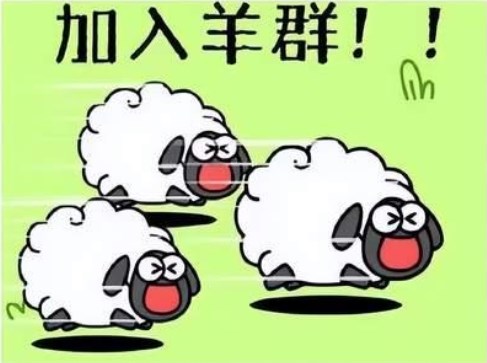 羊了个羊槽位已满重新开始游戏方法介绍