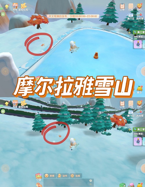 摩尔庄园吉他蝴蝶位置攻略-摩尔庄园怎么抓蝴蝶