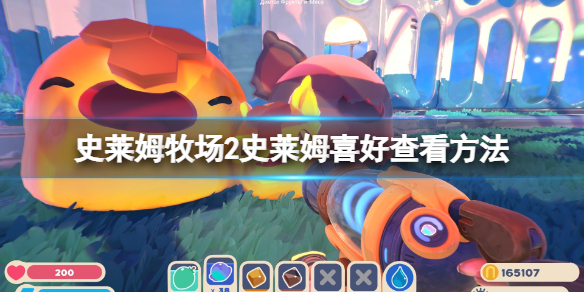 史莱姆牧场2养什么史莱姆好-史莱姆喜好查看方法