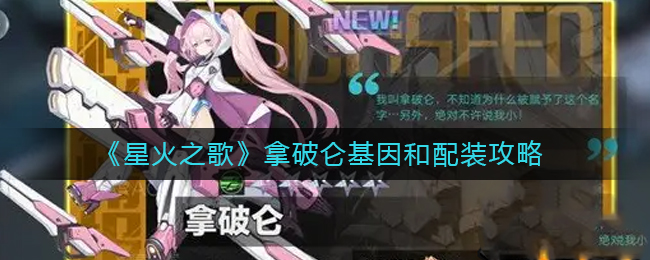 星火之歌拿破仑基因和配装详情-星火之歌拿破仑基因和配装一览