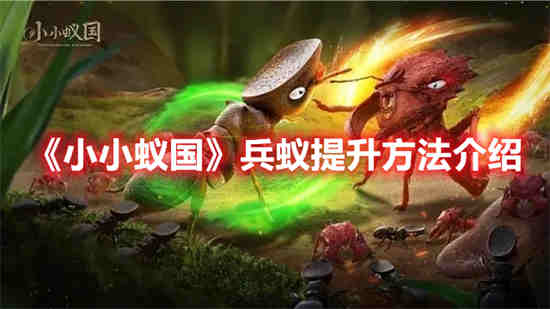 小小蚁国兵蚁怎么提升 兵蚁提升方法分享